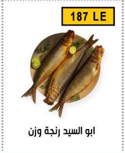 available at Ben Seleman in Egypt - Cairo