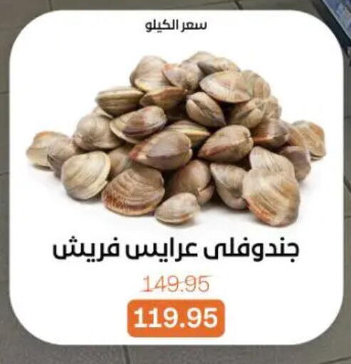 available at جملة ماركت in Egypt - القاهرة