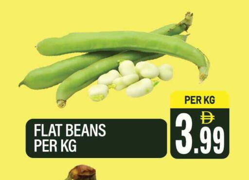 available at دريم لاند in الإمارات العربية المتحدة , الامارات - الشارقة / عجمان