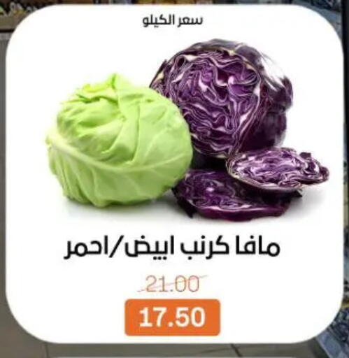 available at جملة ماركت in Egypt - القاهرة