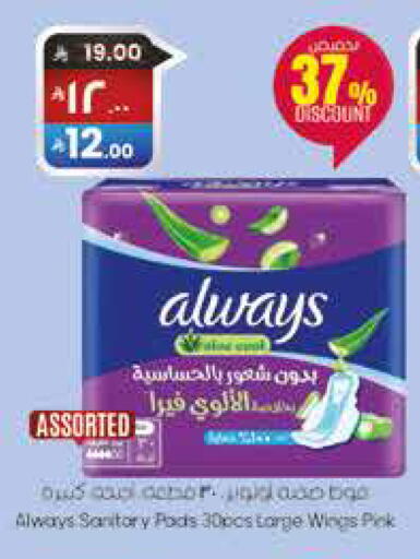 available at City Flower in KSA, Saudi Arabia, Saudi - Sakaka