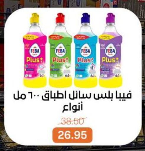 available at بيت الجملة in Egypt - القاهرة