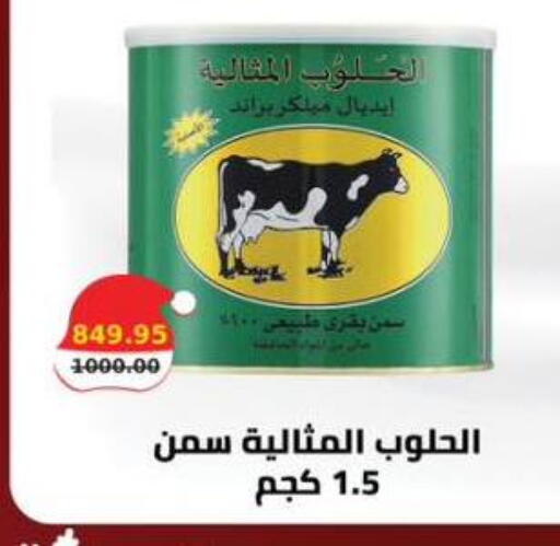 available at سمارت ماركت in Egypt - القاهرة