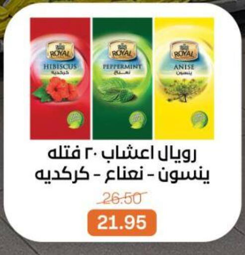 Anise available at بيت الجملة in Egypt - القاهرة