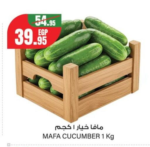 Cucumber from Egypt available at Géant Egypt in Egypt - Cairo