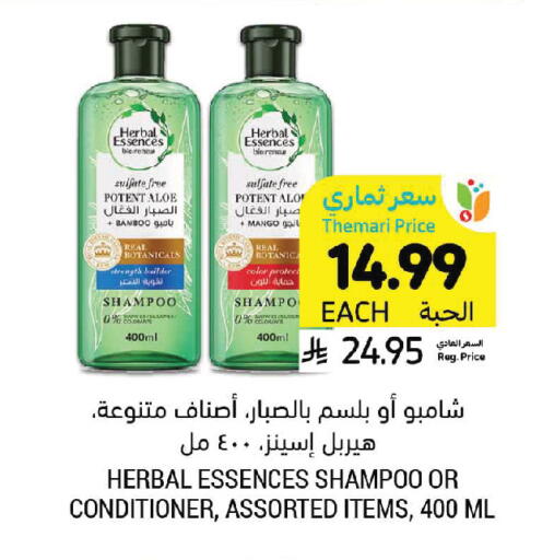 Mango available at Tamimi Market in KSA, Saudi Arabia, Saudi - Saihat