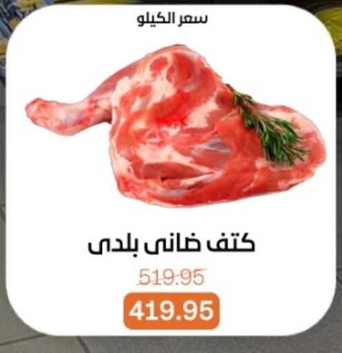 available at Beit El Gomla in Egypt - Cairo