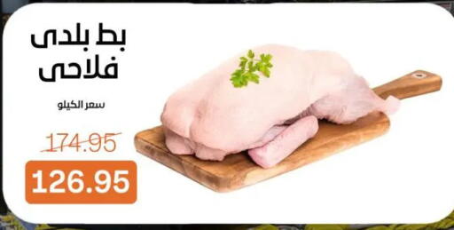 available at جملة ماركت in Egypt - القاهرة