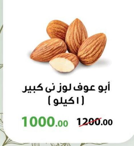 available at جيان مصر in Egypt - القاهرة