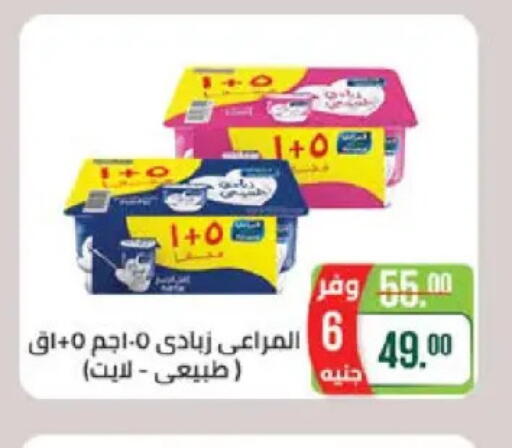 available at سعودي سوبرماركت in Egypt - القاهرة