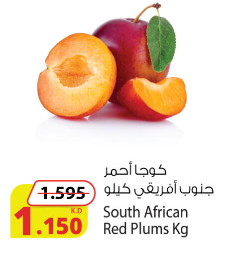 Plums from South Africa available at شركة المنتجات الزراعية الغذائية in الكويت - محافظة الجهراء