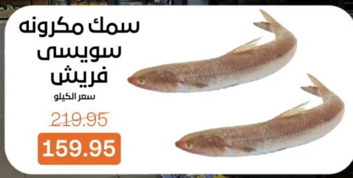 available at جملة ماركت in Egypt - القاهرة