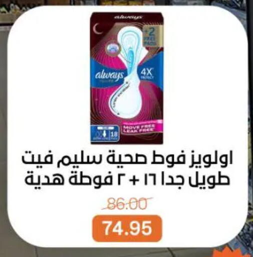 available at جملة ماركت in Egypt - القاهرة