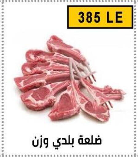 available at Ben Seleman in Egypt - Cairo