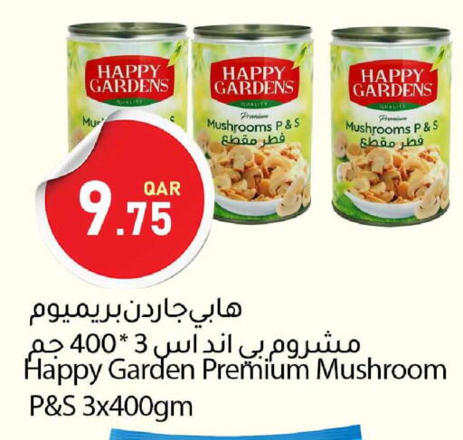 Mushroom available at دانا ماركت in قطر - الدوحة