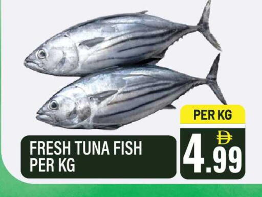 available at Dream Land in UAE - Sharjah / Ajman