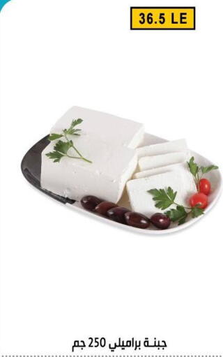 available at Ben Seleman in Egypt - Cairo