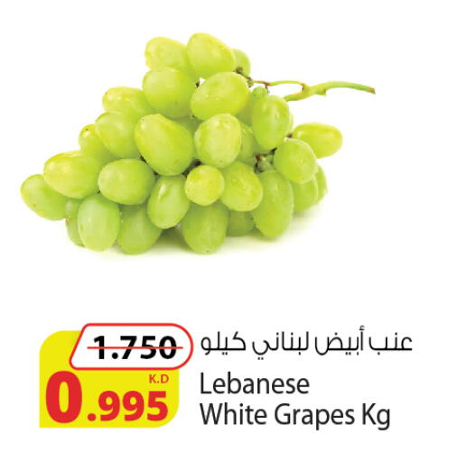 Grapes from Lebanon available at شركة المنتجات الزراعية الغذائية in الكويت - محافظة الجهراء