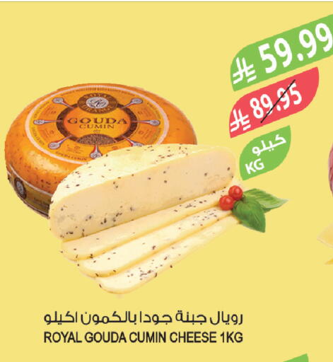 Cumin available at المزرعة in مملكة العربية السعودية, السعودية, سعودية - الخرج