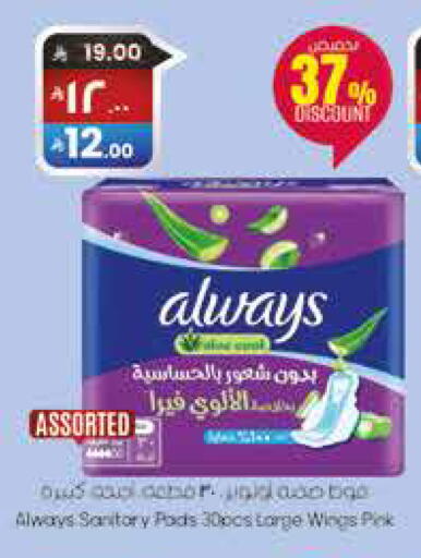 available at City Flower in KSA, Saudi Arabia, Saudi - Hail