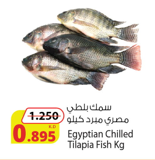 available at Agricultural Food Products Co. in Kuwait - Kuwait City