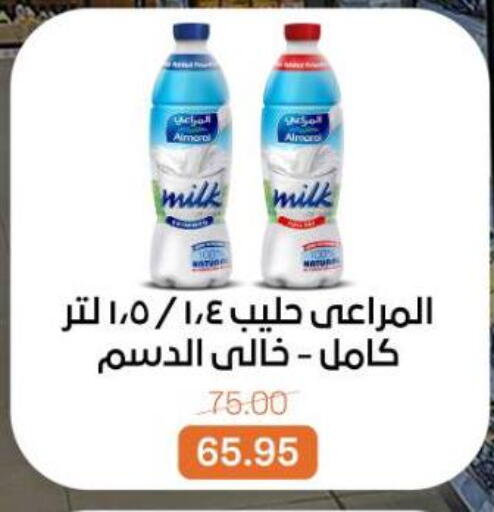 available at بيت الجملة in Egypt - القاهرة