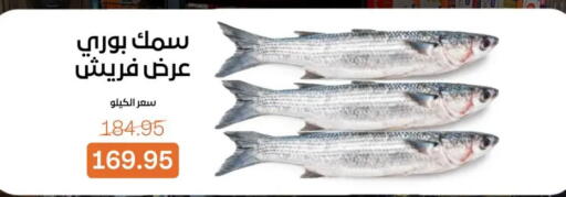 available at جملة ماركت in Egypt - القاهرة