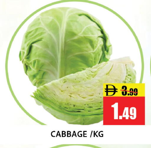 Cabbage available at Leptis Hypermarket  in UAE - Ras al Khaimah