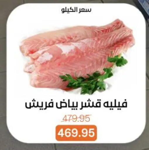 available at جملة ماركت in Egypt - القاهرة