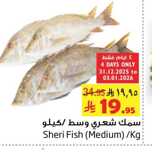 available at Layan Hyper in KSA, Saudi Arabia, Saudi - Dammam