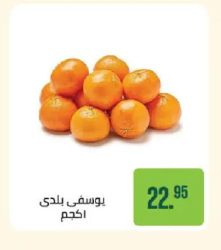 available at سعودي سوبرماركت in Egypt - القاهرة
