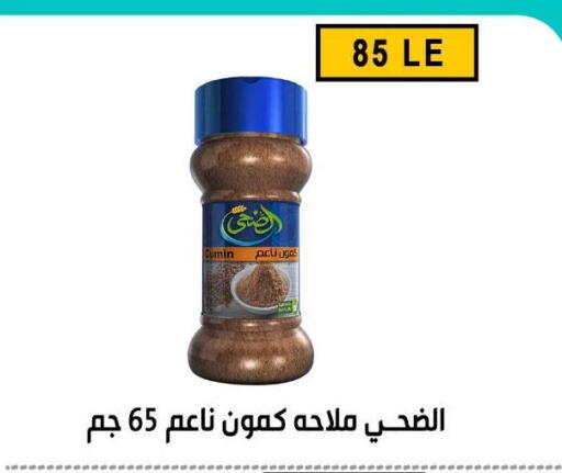 Cumin available at Ben Seleman in Egypt - Cairo