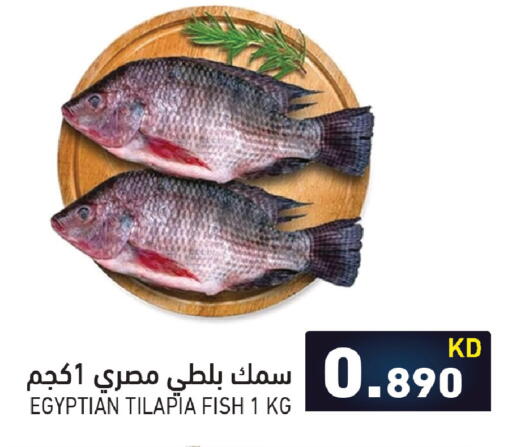 available at  رامز in الكويت - محافظة الأحمدي