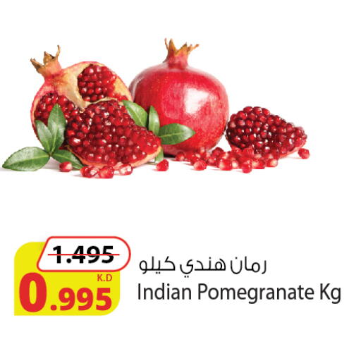 Pomegranate from India available at شركة المنتجات الزراعية الغذائية in الكويت - محافظة الجهراء