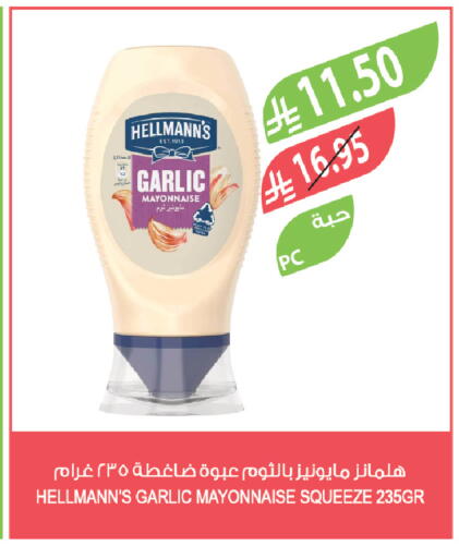 Garlic available at Farm  in KSA, Saudi Arabia, Saudi - Tabuk