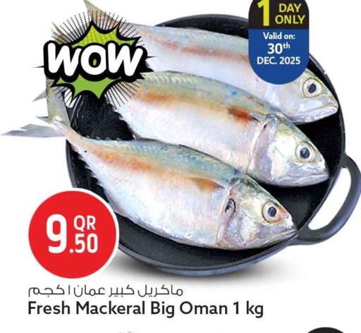 available at سفاري هايبر ماركت in قطر - الريان