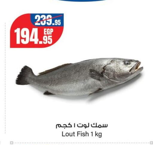 available at جيان مصر in Egypt - القاهرة