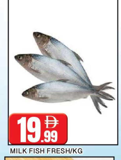 available at AL MADINA in UAE - Sharjah / Ajman