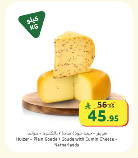 Cumin available at الراية in مملكة العربية السعودية, السعودية, سعودية - القنفذة