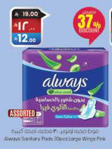 available at City Flower in KSA, Saudi Arabia, Saudi - Jubail