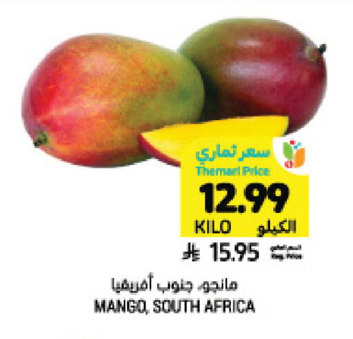 Mango from South Africa available at Tamimi Market in KSA, Saudi Arabia, Saudi - Saihat
