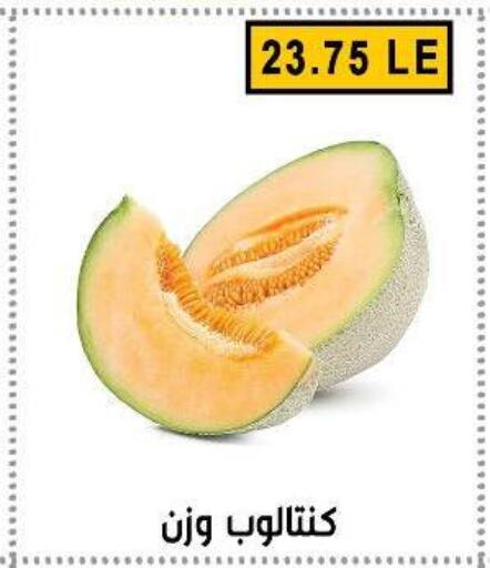 available at Ben Seleman in Egypt - Cairo