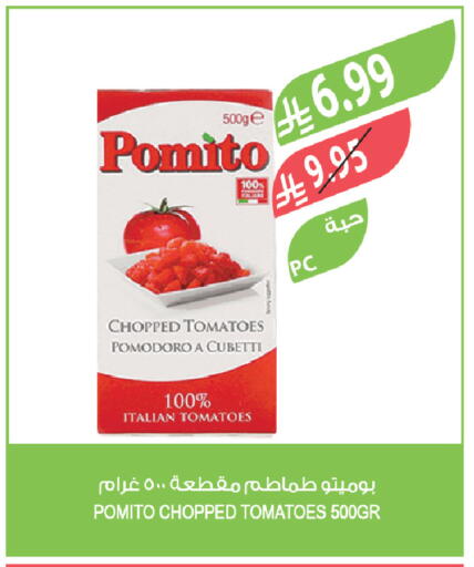 Tomato available at Farm  in KSA, Saudi Arabia, Saudi - Yanbu