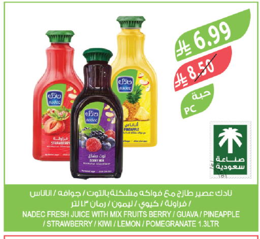 Strawberry Pineapple Guava Kiwi Lemon Pomegranate available at Farm  in KSA, Saudi Arabia, Saudi - Yanbu
