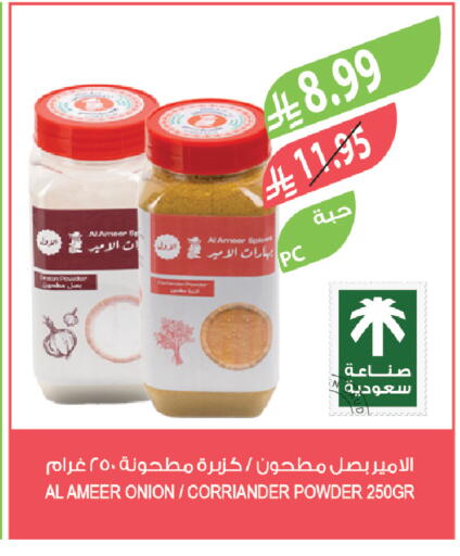 Onion available at Farm  in KSA, Saudi Arabia, Saudi - Yanbu