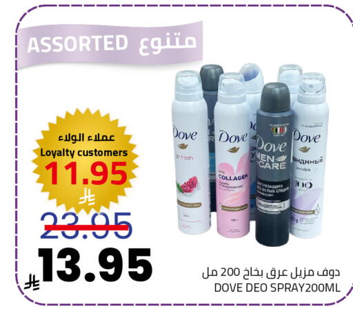 available at أسواق أسترا in مملكة العربية السعودية, السعودية, سعودية - تبوك