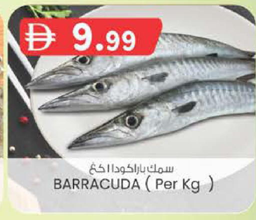 available at K M Trading  in UAE - Dubai