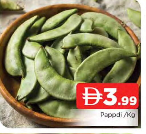 available at المدينة in الإمارات العربية المتحدة , الامارات - الشارقة / عجمان