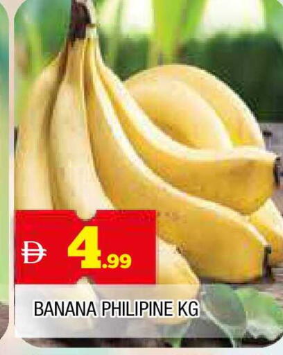 Banana available at المدينة in الإمارات العربية المتحدة , الامارات - الشارقة / عجمان