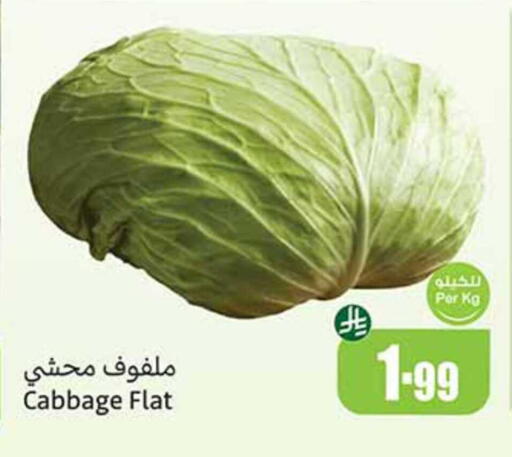 Cabbage available at أسواق عبد الله العثيم in مملكة العربية السعودية, السعودية, سعودية - سكاكا